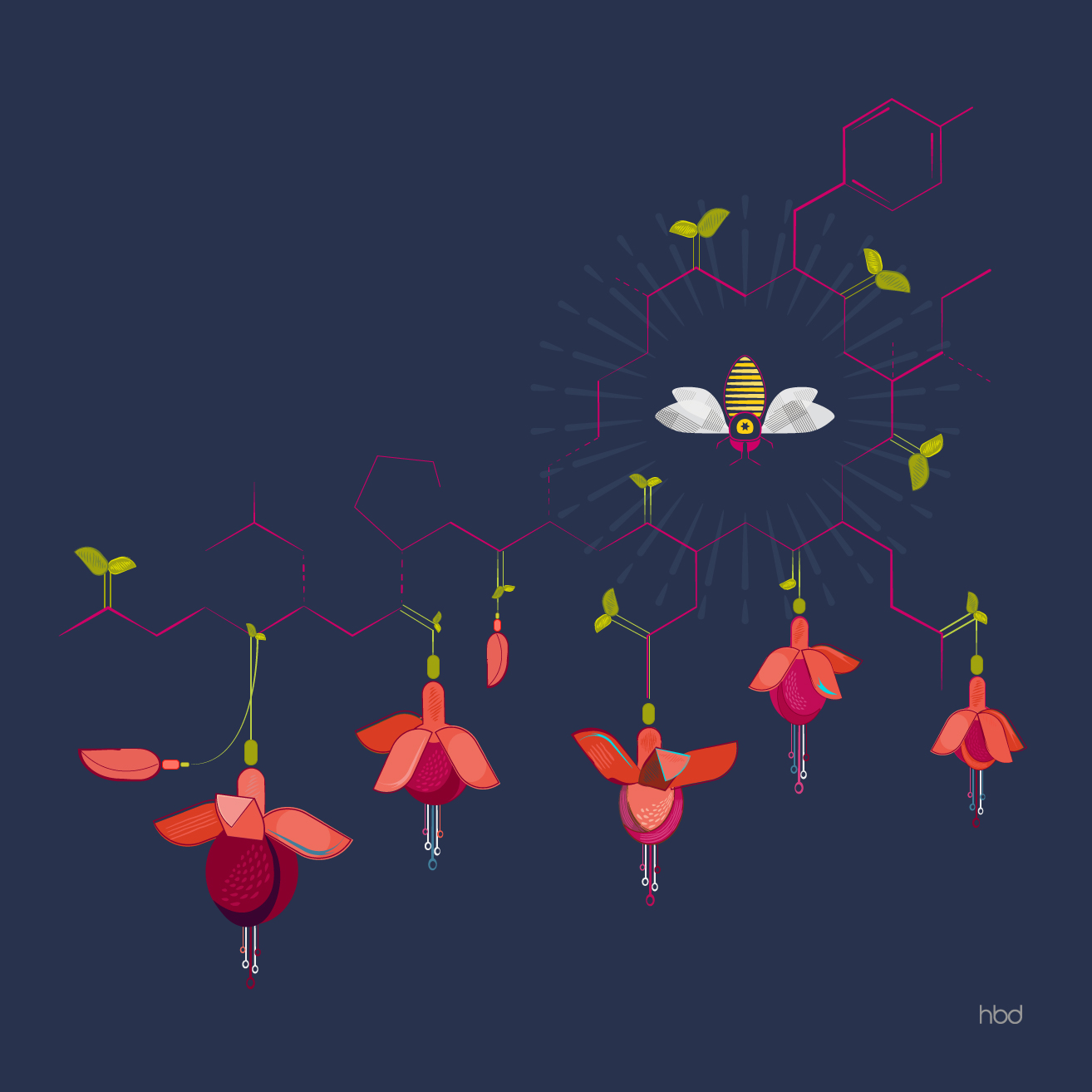 Fucshia and the Bee